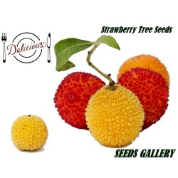 1.65 Semi di Corbezzolo (Arbutus Unedo)