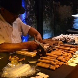 2.45 Semi di Tabacco HAV. COROJO