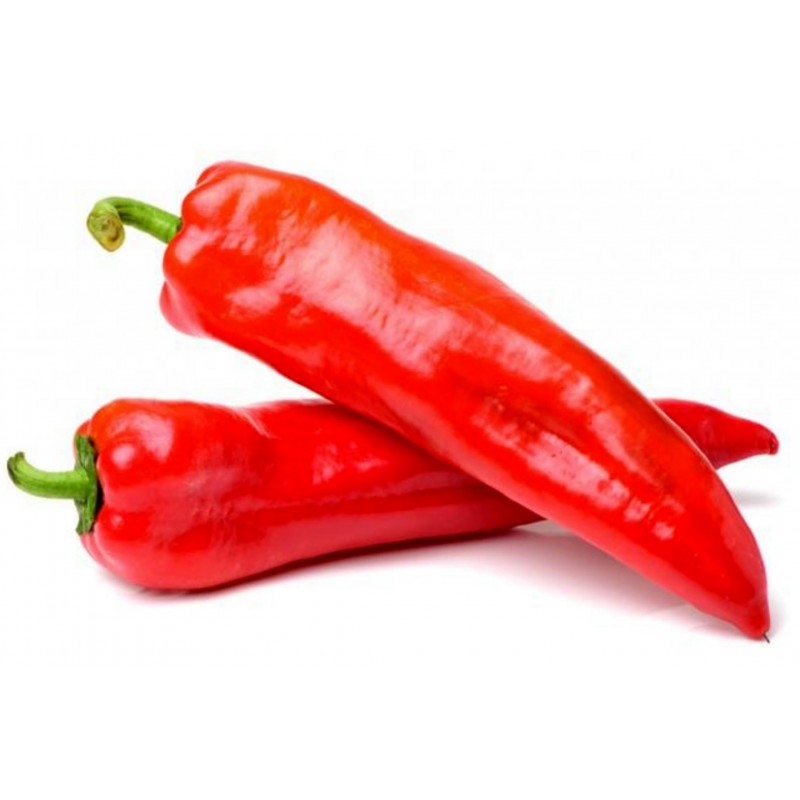 MARCONI RED Sweet Pepper Seeds 1.65 - 3