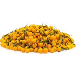 5 färska Charapita-frukter med frön - Begränsat tidserbjudande 10 - 2