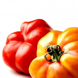 Montserrat Tomato Seeds 1.95 - 1