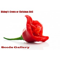 Sementes de Pimentas Chili Bishop Crown
