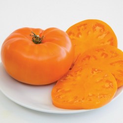 Semillas De Tomate Naranja Beefsteak 2.15 - 3