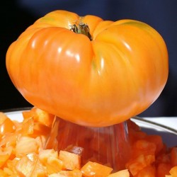 Semillas De Tomate Naranja Beefsteak 2.15 - 2