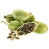 Semi di Cardamomo verde (Elettaria cardamomum) | Price: 1,55 € 🌳🌼🌸🌿🌱🍉
