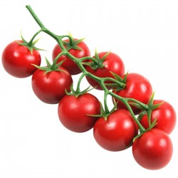 Semillas de tomate Paradiso Midi Rispen 1.85 - 1
