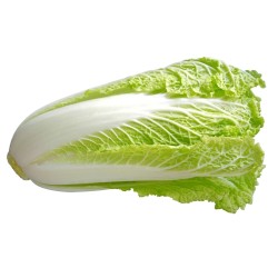 1.55 Semi di Cavolo Cinese (Brassica pekinensis)