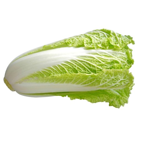 1.55 Semi di Cavolo Cinese (Brassica pekinensis)