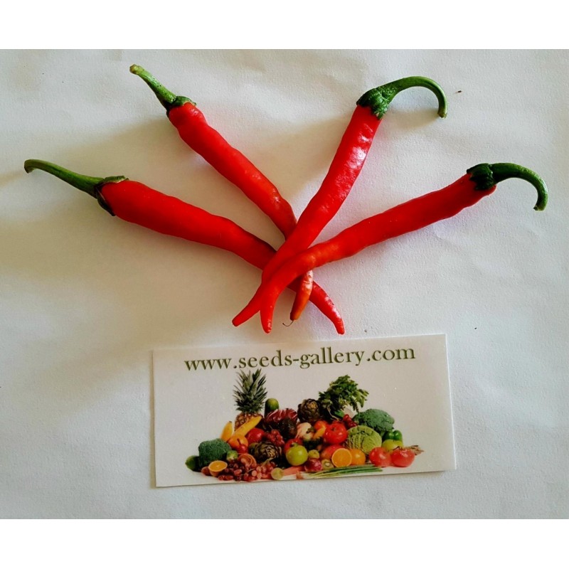 1.85 Graines de Piments Cayenne Long Slim