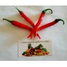 1.85 Graines de Piments Cayenne Long Slim