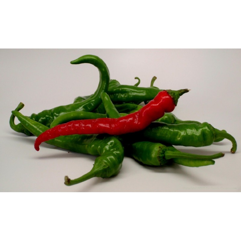 1.85 Graines de Piments Cayenne Long Slim