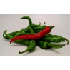 1.85 Graines de Piments Cayenne Long Slim