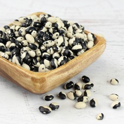 Calypso - Orca - Yin Yang Bean Seeds 2.75 - 1