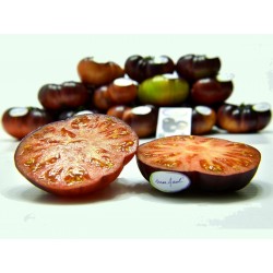Mar Azul σπόροι ντομάτας 1.75 - 7