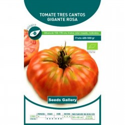 Semillas de tomate Tres Cantos 1.95 - 1