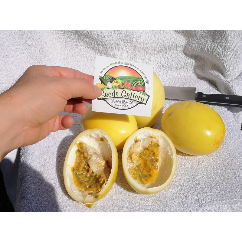 Giant Yellow Passion Fruit Seeds (Passiflora Flavicarpa)  - 2