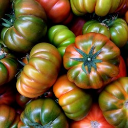 Autentiska Muchamiel tomatfrön 1.65 - 1