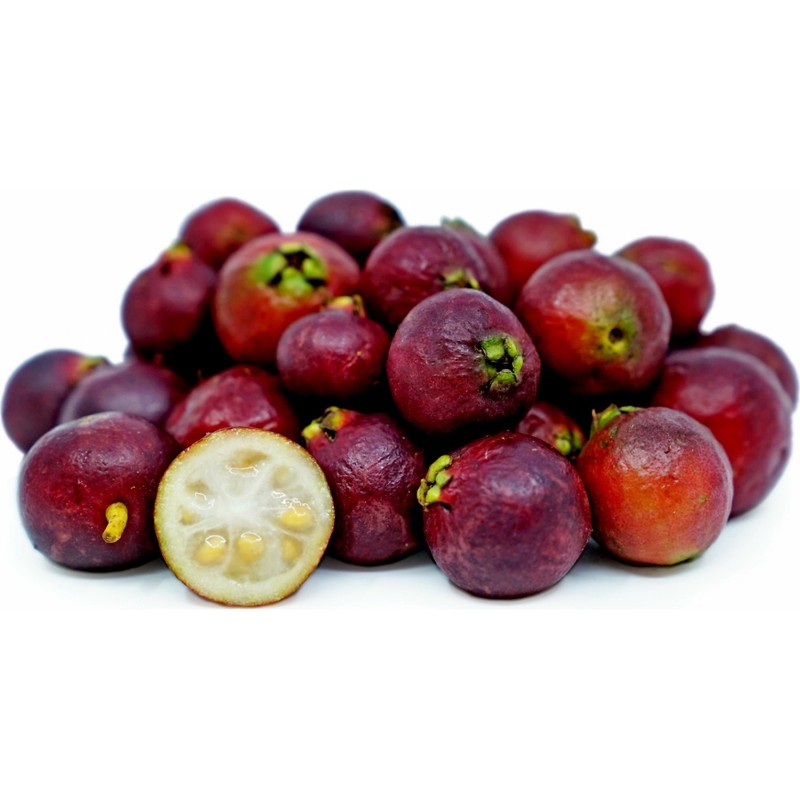 Sementes de Araçá-rosa (Psidium cattleianum) | Price: 3,25 € 🌳🌼🌸🌿🌱🍉