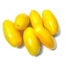 Banana Legs Paradajz Seme 1.85 - 5