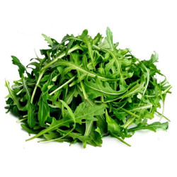 600 rocket, salad rucola, roquette, - Seeds Price rugula