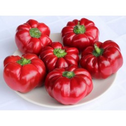 GREYGO Hungarian sweet pepper seeds 1.55 - 2