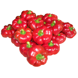 GREYGO Hungarian sweet pepper seeds 1.55 - 3