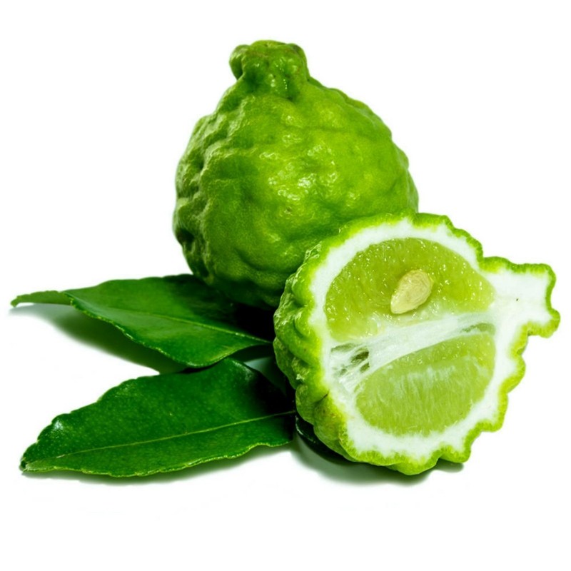 Σπόροι Kaffir Lime (Citrus hystrix) | Price: 3,50 € 🌳🌼🌸🌿🌱🍉