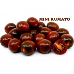 Sementes de tomate cereja preto Kumato  - 2