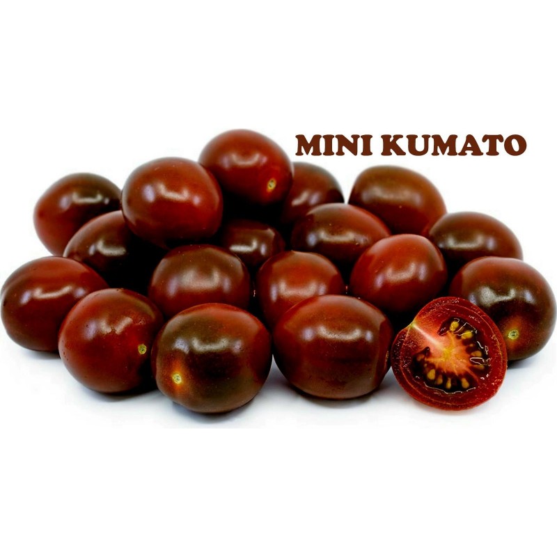 Semi di pomodoro ciliegio nero Kumato  - 2