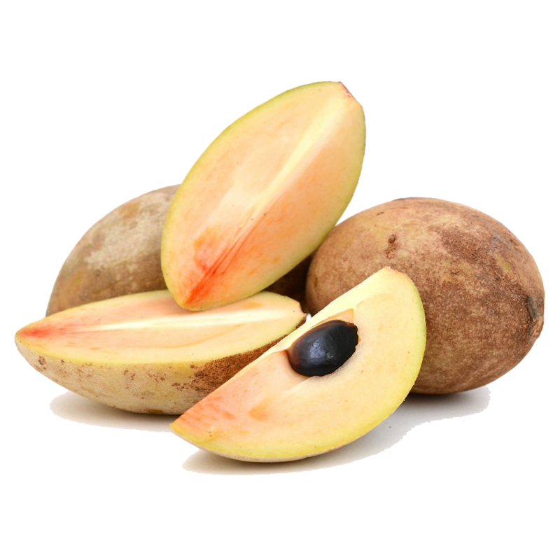 Manilkara zapota Seeds (Chico Sapote) | Price: €2.85 🌳🌼🌸🌿🌱🍉