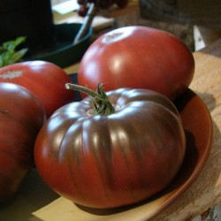 ARBUZNYI Большие зеленые семена томатов Seeds Gallery - 5