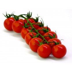 Graines de tomate Chadwick Cherry  - 2
