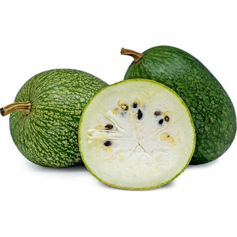 Chilacayote Cucurbita ficfolia φύλλο Gourd σπόρος - 1