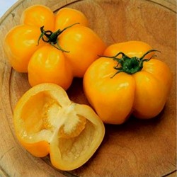 Yellow Stuffer Tomato Seeds  - 4
