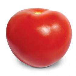 High-Quality Hybrid Tomato Seeds Lider F1  - 1