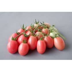Sida Αυθεντικοί Ταϊλάνδης ντομάτας σπόροι  - 2