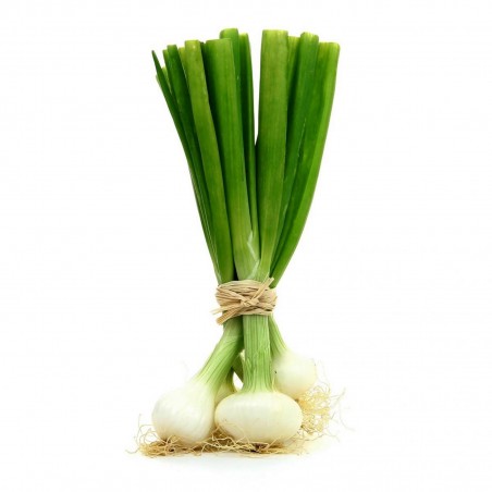 White Lisbon Bunching Onion Seeds (Allium cepa) | Price: 2,20 € 🌳🌼🌸🌿🌱🍉