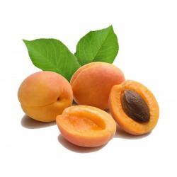 Manchurian Apricot Seeds Prunus Armeniaca  - 5