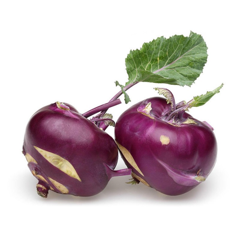 Семена кольраби фиолетовой Вена  - 4