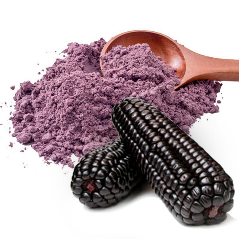 10 Graines de maïs pourpre ' Purple corn ' heirloom Seeds 