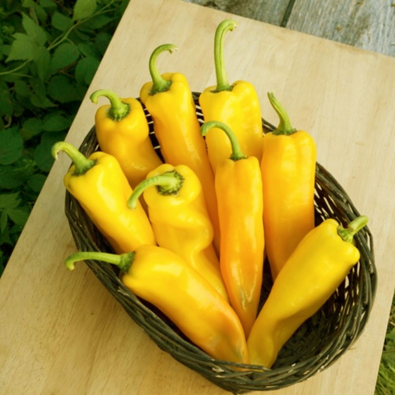 2.05 Ramiro sweet Giant pepper Seeds
