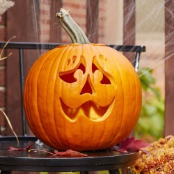 Halloween, Jack’O Lantern Pumpkin Seeds  - 1