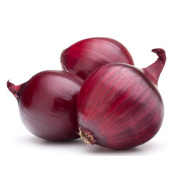 Red Brunswick Onion Seeds  - 2