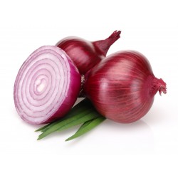 Red Brunswick Onion Seeds  - 1