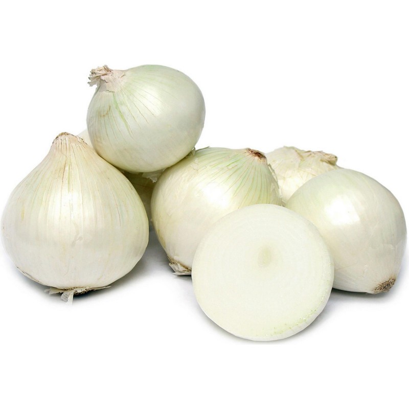 White Lisbon Bunching Onion Seeds (Allium cepa) | Price: 2,20 € 🌳🌼🌸🌿🌱🍉
