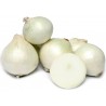 White Lisbon Bunching Onion Seeds (Allium cepa) | Price: 2,20 € 🌳🌼🌸🌿🌱🍉