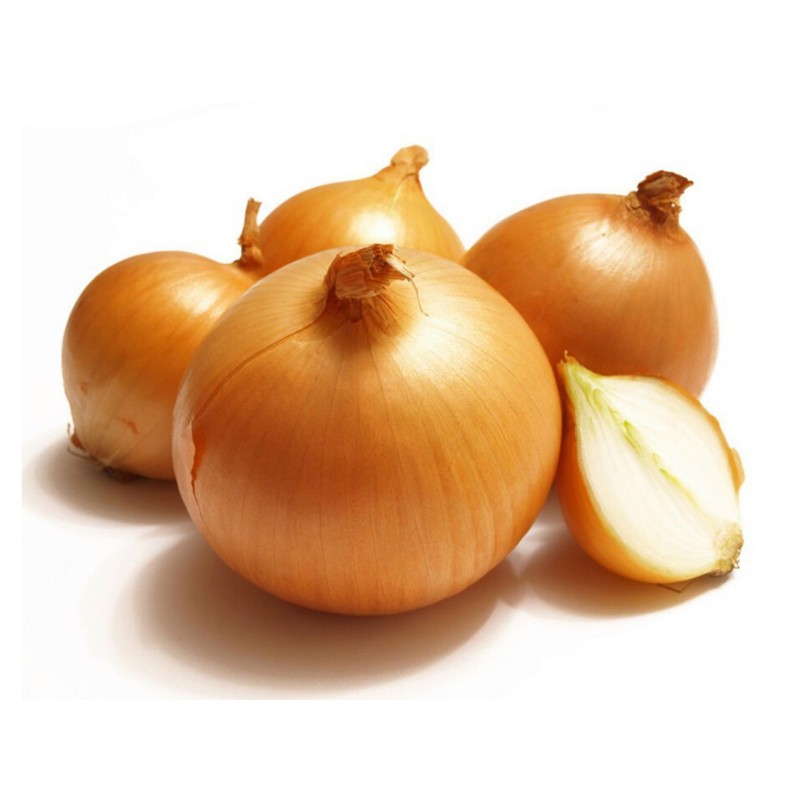 1.75 Semi di cipolla Gialle Olandese