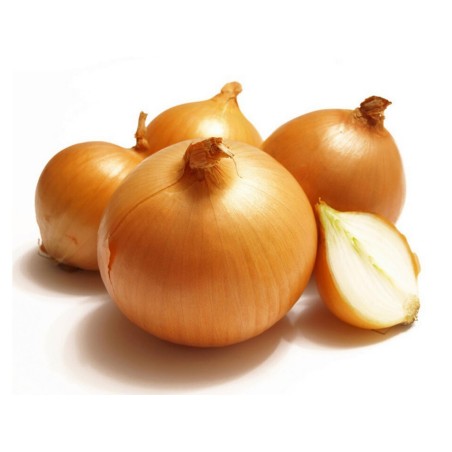 1.75 Semi di cipolla Gialle Olandese