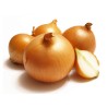 1.75 Sementes de cebola Holandeses