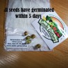 4.15 Yuzu Zitrone Samen Winterhart bis -20°C (Citrus junos)